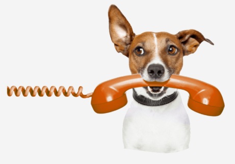 telefon